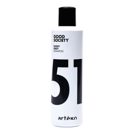 Artego Good Society SHiny Grey SHampoo