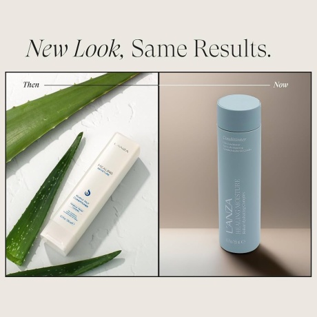 712Q6PIZzFL._AC_UF1000,1000_QL80_