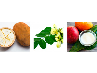 CurlsComplex_ingredients