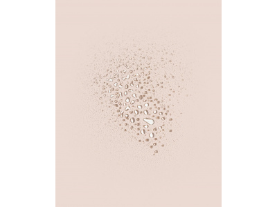 NAK Root Lift Mist 250 ML