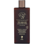 Tecna Teabase aromatherapy Energetic shampoo 250ml