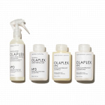 HAIR REPAIR TREATMENT KIT