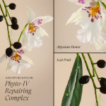 L'Anza - Keratin Healing Oil Conditioner 980ml - Afbeelding 2