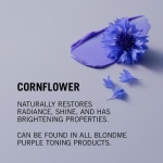 Schwarzkopf BlondMe Bond Repair Purple Shampoo 300ml + Conditioner 250ml + Spray Conditioner 150ml - Afbeelding 5