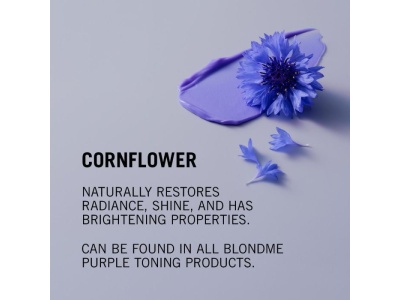 cornflower_ing_1_3