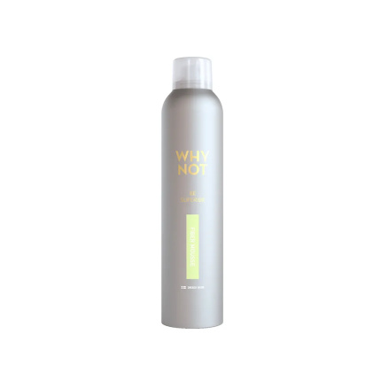 WHY NOT FIBER MOUSSE 250ml