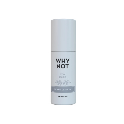 WHY NOT Stay Magic Silver 150ml