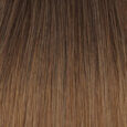 Balayage #2T-8