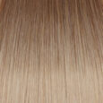 Balayage #5T-Silver